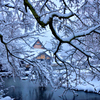 雪の千年家