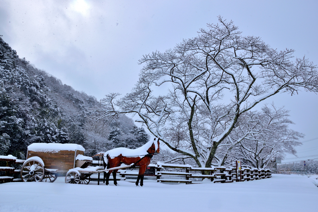 銀の馬車道　雪景色