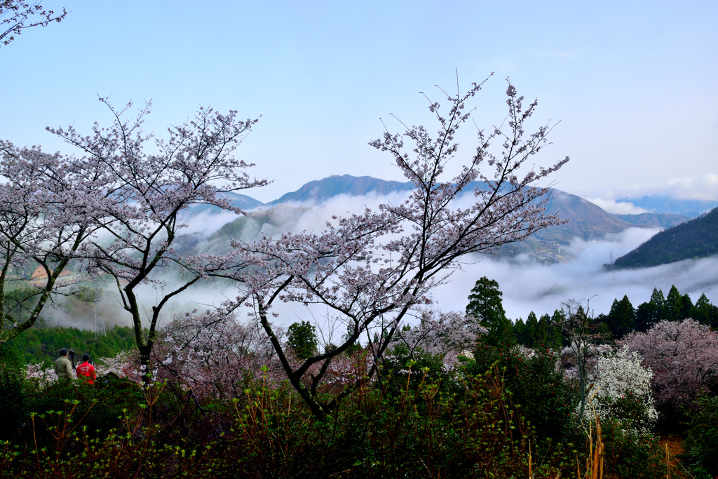 立雲峡