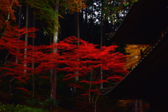 青垣　高源寺