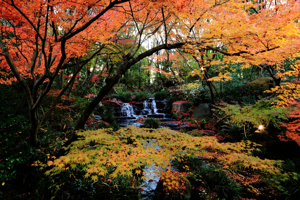 姫路　好古園-Ⅱ