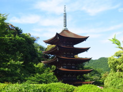 瑠璃光寺　五重塔－２