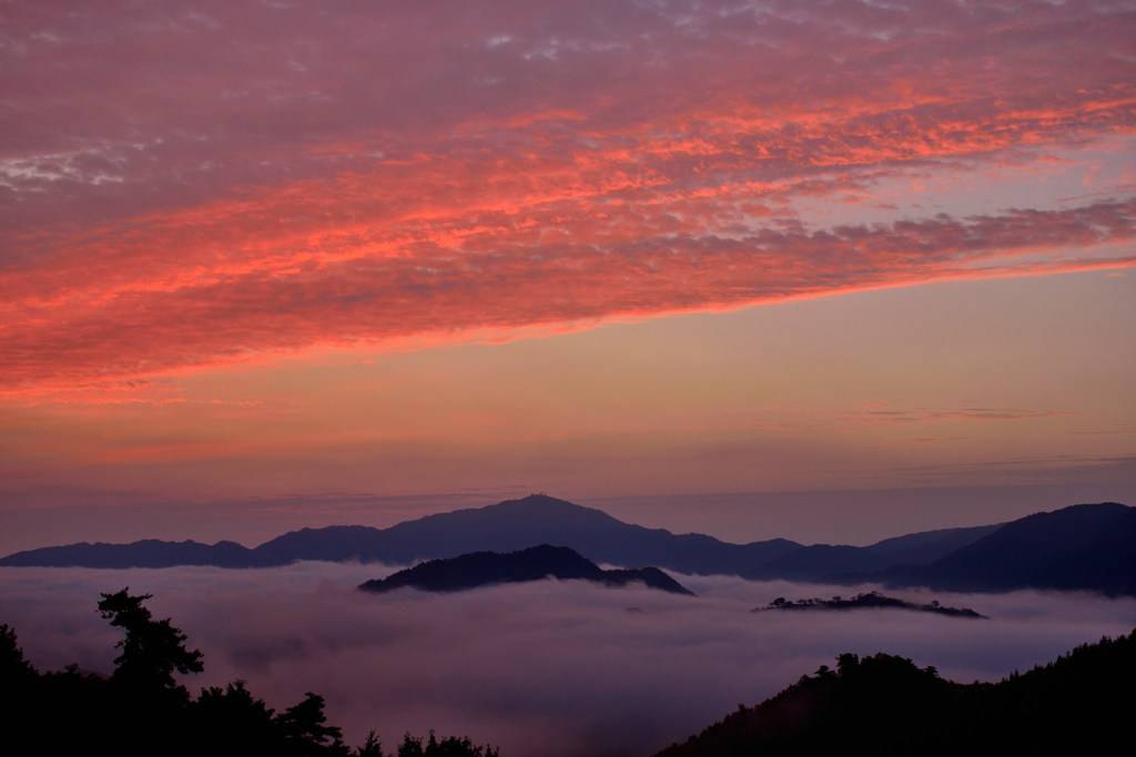 竹田城跡　朝焼けと雲海　１１月４日