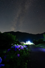 紫陽花と天の川