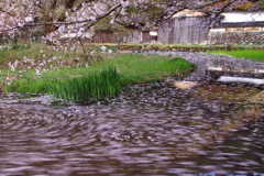 佐中の千年家　花筏-Ⅱ