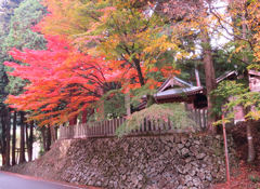 大歳神社