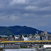 初めてのドクターイエロー