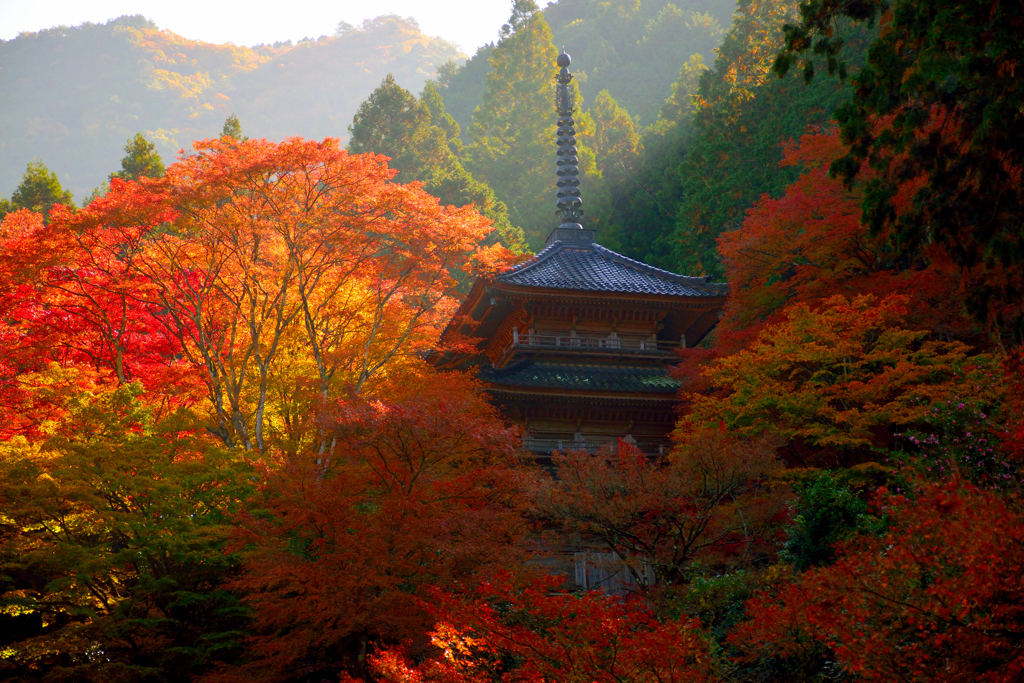 高源寺　三重塔-2