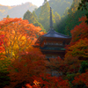 高源寺　三重塔-2