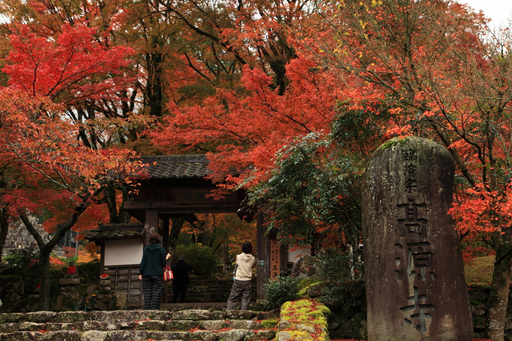 高源寺－２