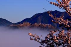 竹田城跡　雲海　桜-Ⅲ