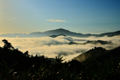 竹田城跡　フル雲海