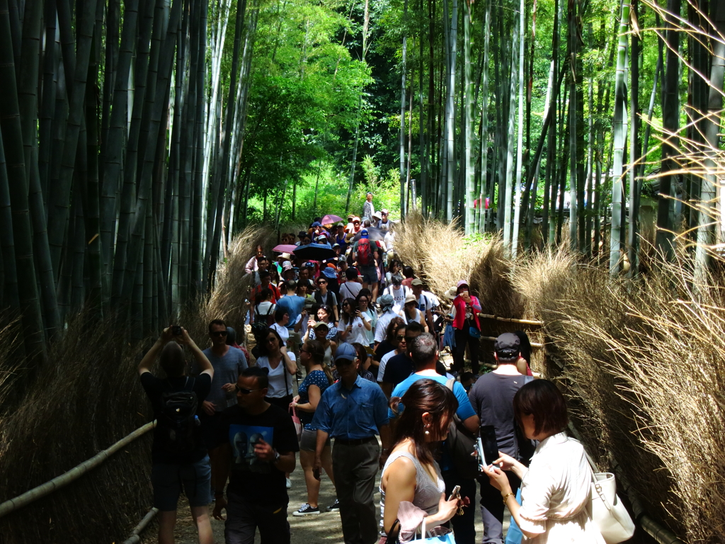 竹林の小径