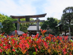 松陰神社