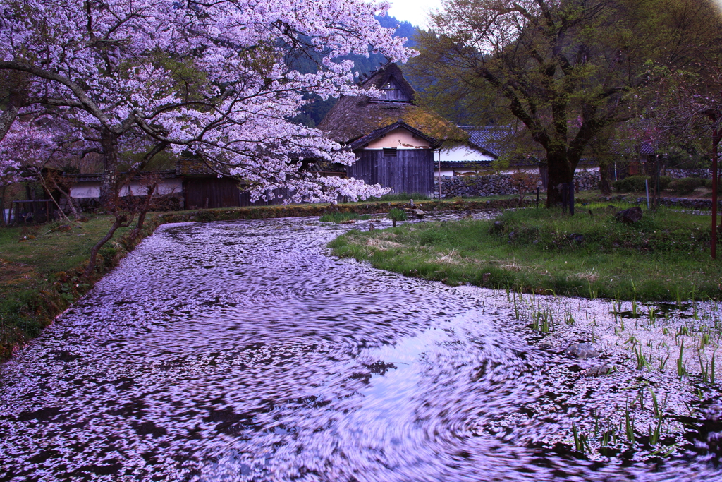 佐中の千年家　