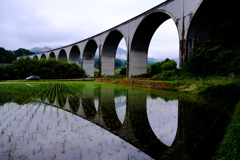 虎臥城大橋　田植えも終わって