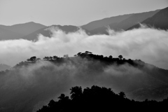 竹田城跡　６月