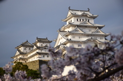 姫路城　三の丸広場にて