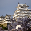 姫路城　三の丸広場にて