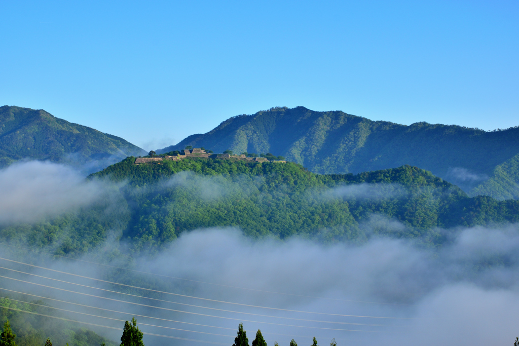 新緑の竹田城跡　たなびく雲海