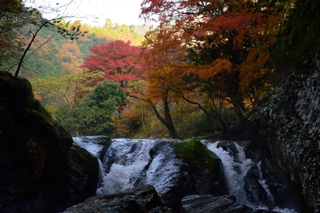 生野　魚ヶ滝