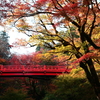 養父神社