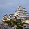 姫路城　　西日に輝いて