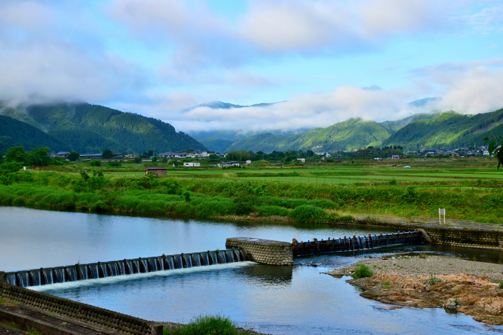 円山川