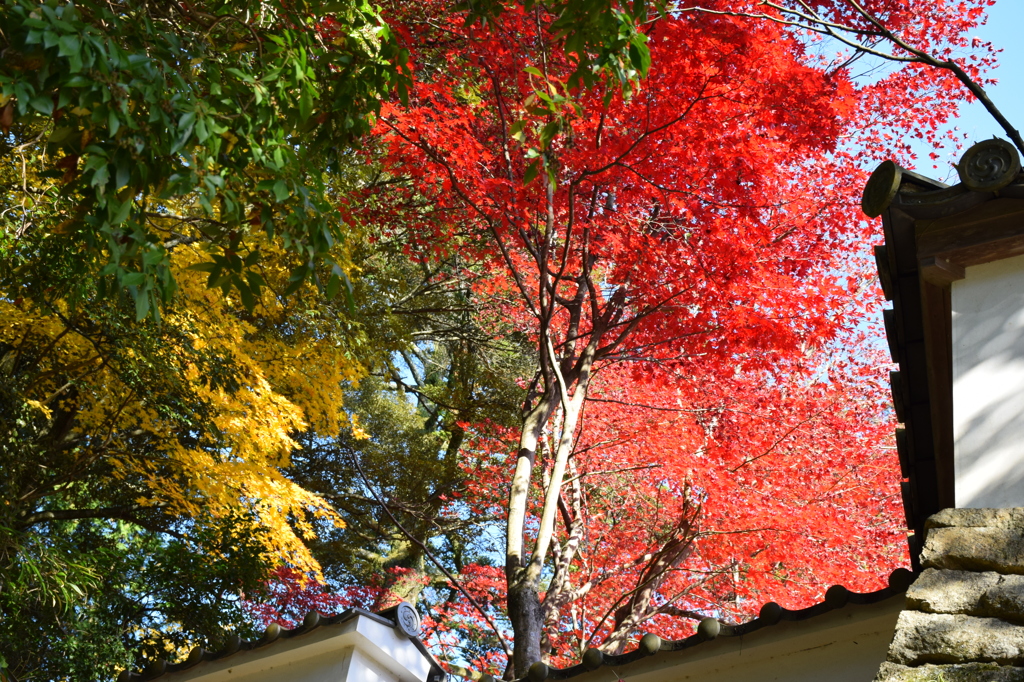 書写山円教寺-1