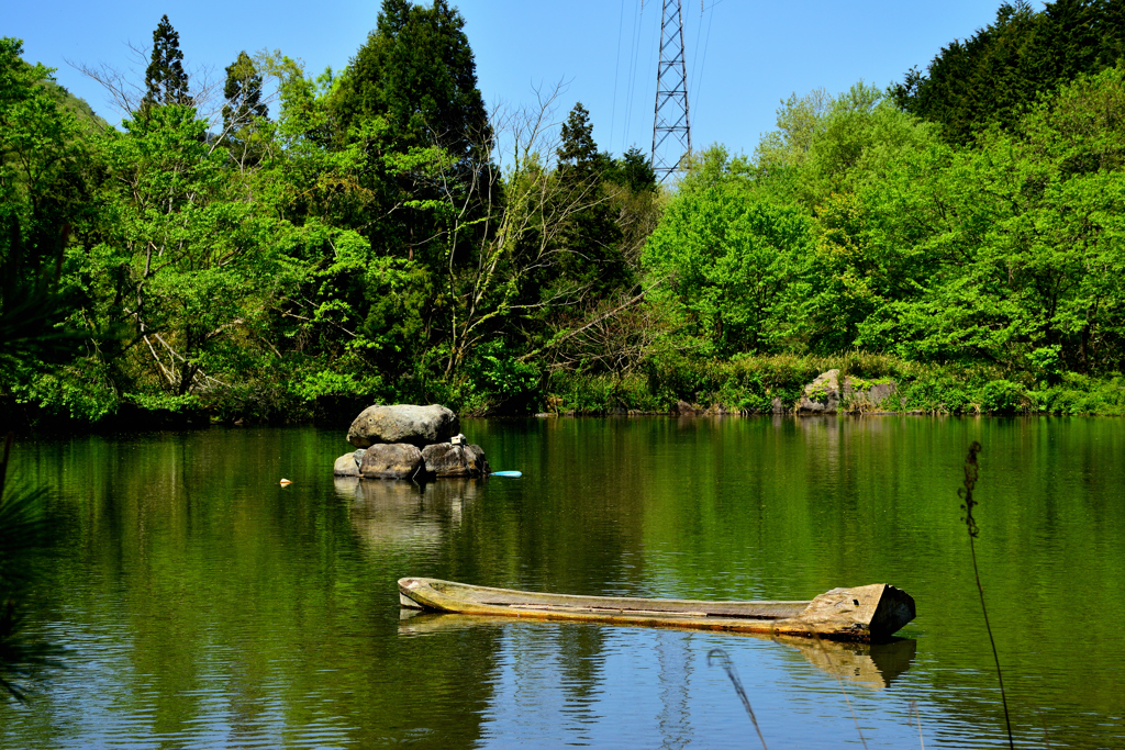 新緑の池