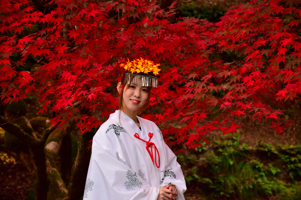 養父神社　巫女さん-Ⅱ