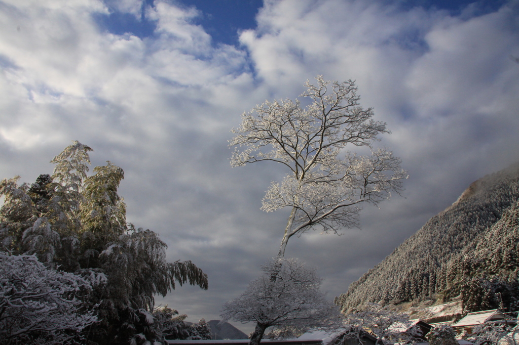 雪景色　３
