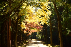 書写山円教寺-5