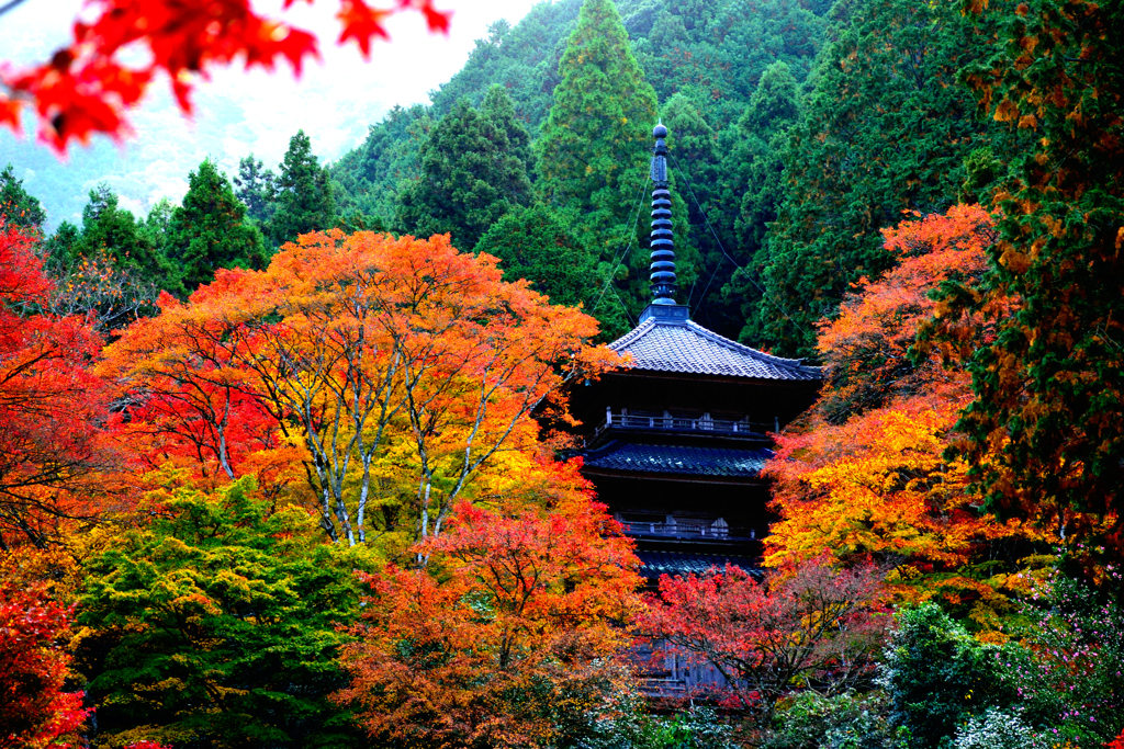 高源寺