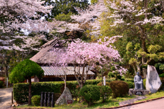 辻川山公園