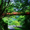 養父神社