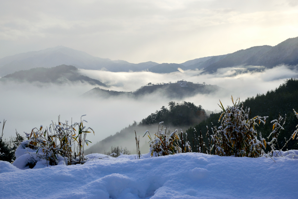 竹田城跡　藤和峠にて