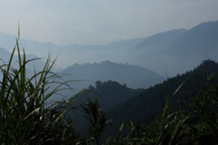 竹田城跡　霧に霞んで