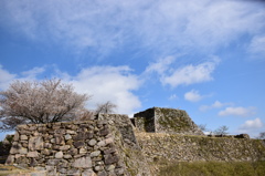 竹田城跡　桜-3