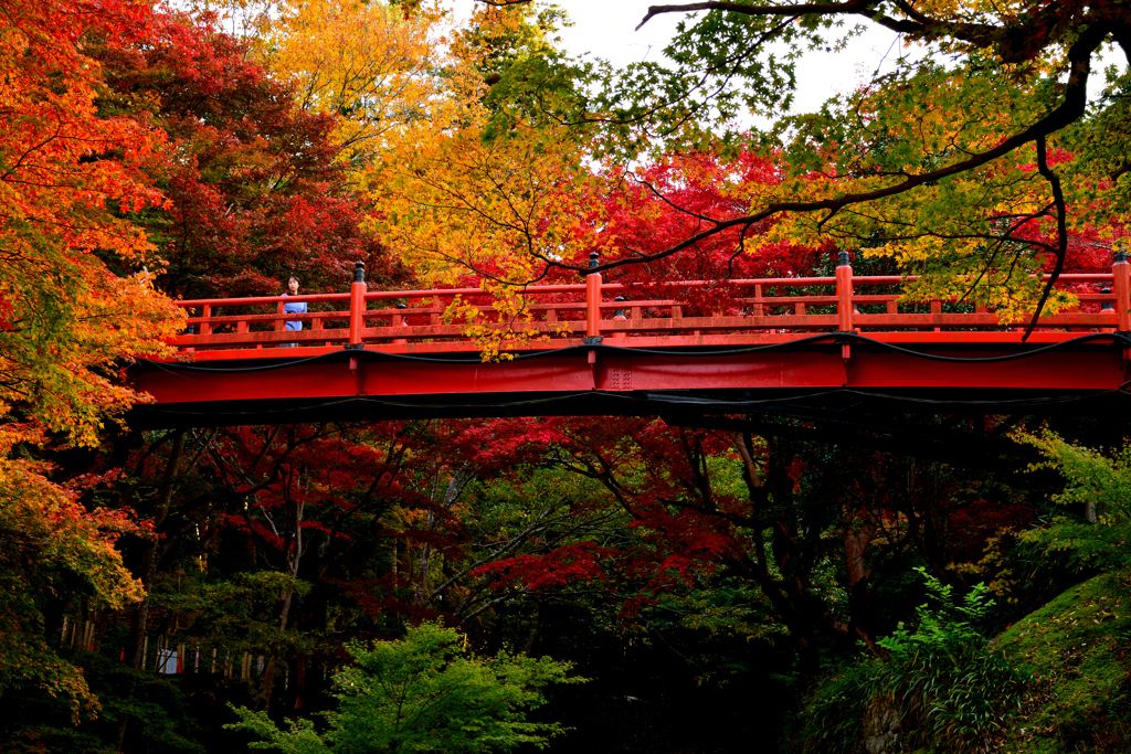 養父神社