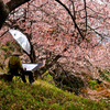 桜華園