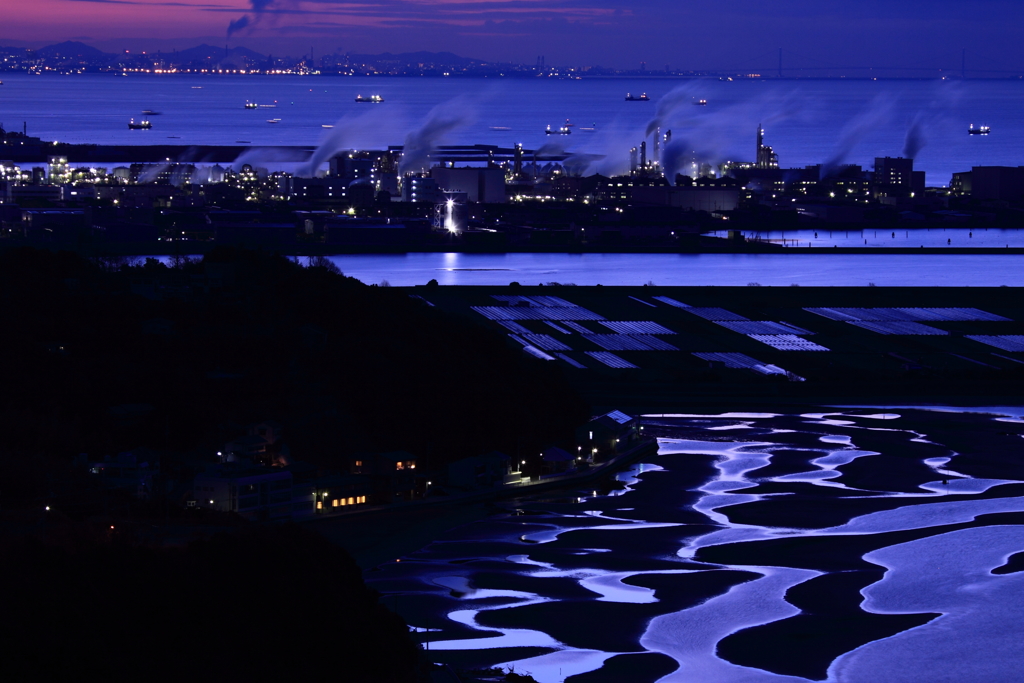 新舞子　干潟　夜明け前