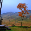 小雨の砥峰高原