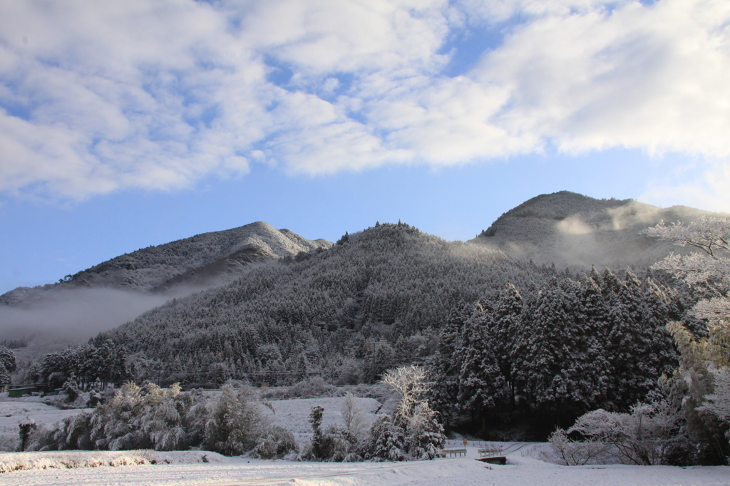 雪景色　５