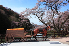 日本遺産　銀の馬車道