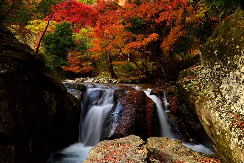 魚ヶ滝　紅葉