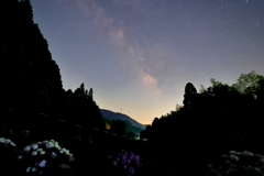 紫陽花と天の川