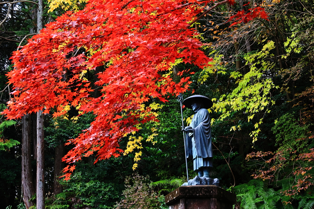 播州犬寺　法楽寺