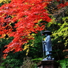 播州犬寺　法楽寺