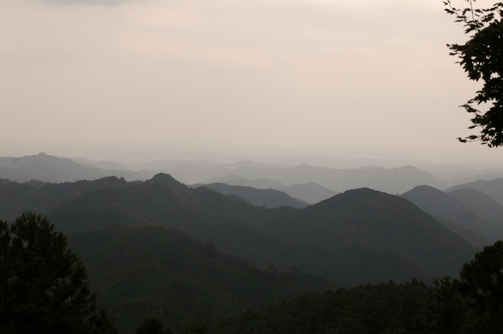 NoTitle